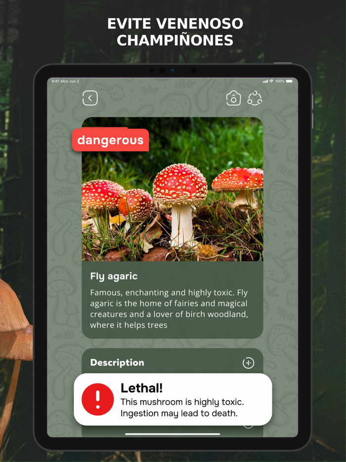 Mushroom Identification ID App