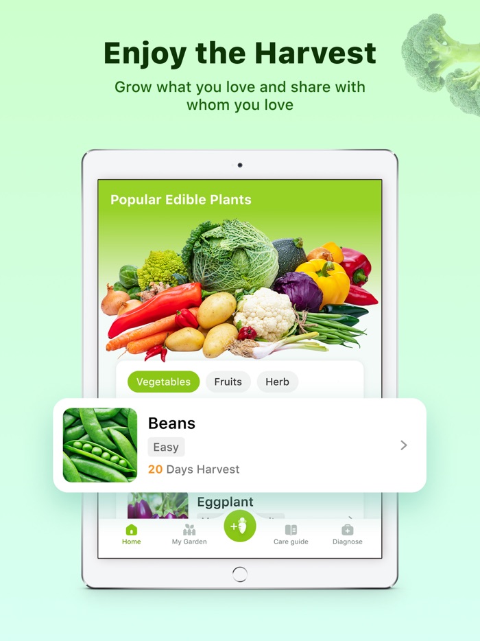 Grow My Food Gardening Guide