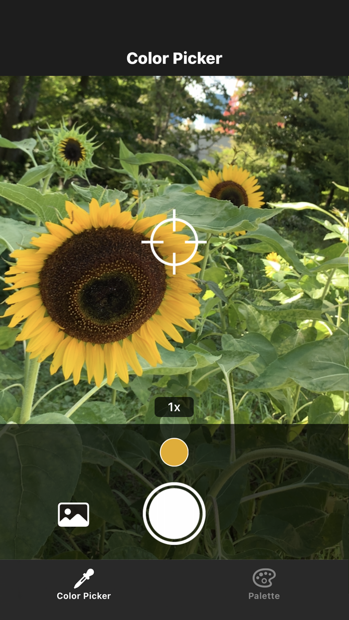 Color Picker SE