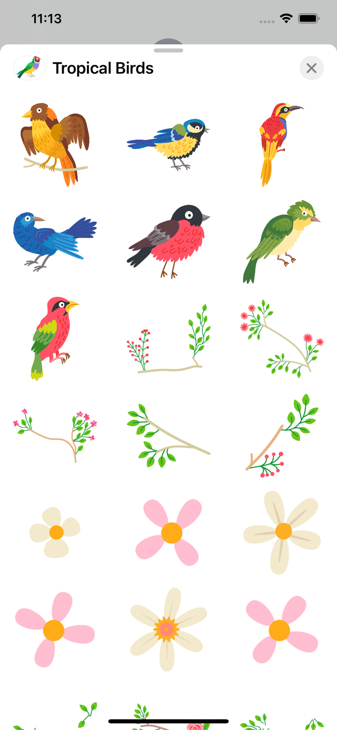 Tropical Birds, Plants, Flower