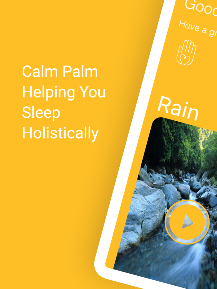 Calm Palm