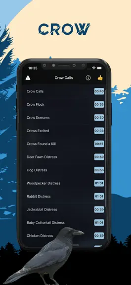 Game screenshot Crow Magnet - Crow Sounds mod apk