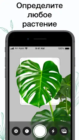 Game screenshot Plants Air - Plant Identifier mod apk