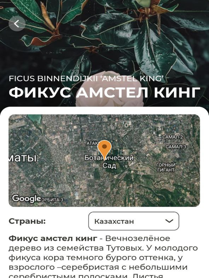 Оранжерея ГБС г. Алматы