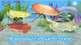 Game screenshot My Asian arowana Aquarium mod apk