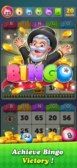 Game screenshot Bingo Big Winner apk