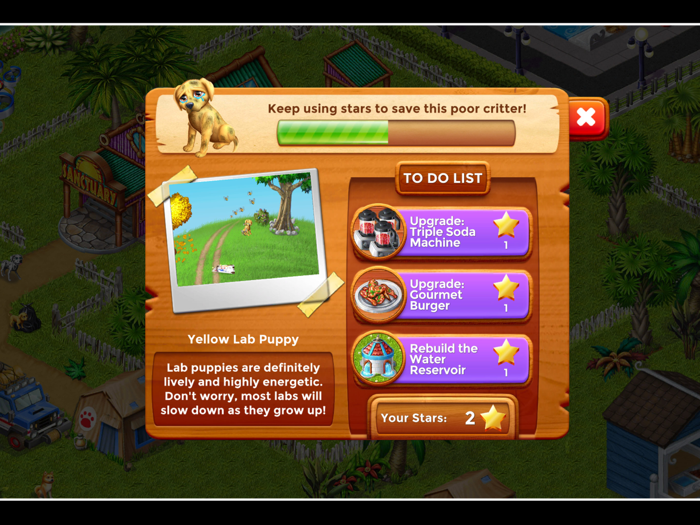 Cook Off Animal Rescue