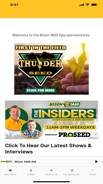 Bison 1660 screenshot-3