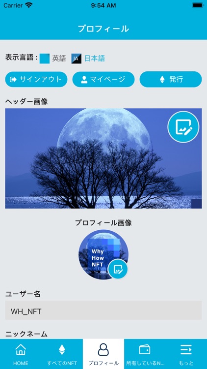 WHYHOWNFTSTORE screenshot-4