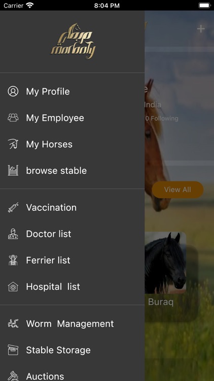Marbaty screenshot-4