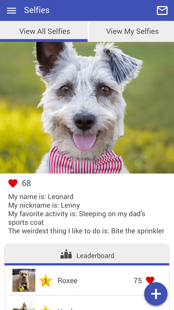 Sycamore Animal Hospital