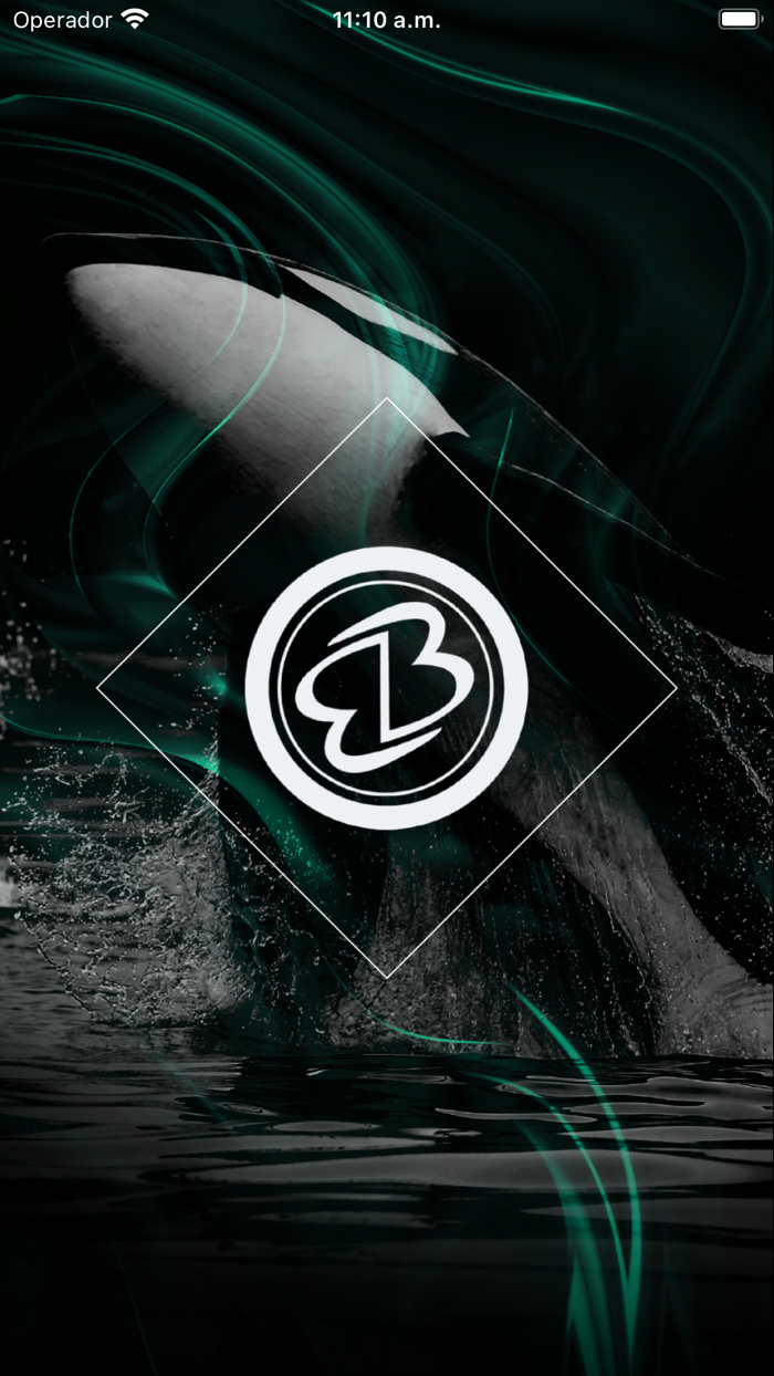 Executive Builders 22