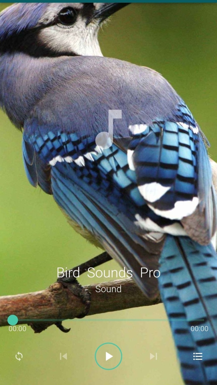 Bird Sounds Pro Plus