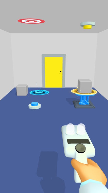 Portal Puzzle