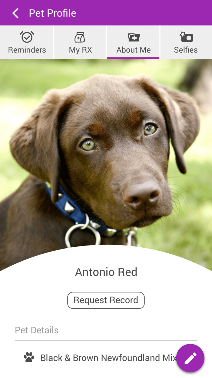 Village Vet Clinic OH