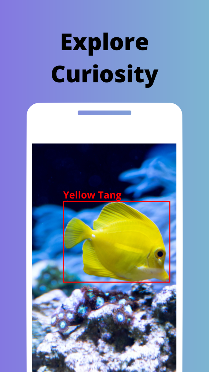 Photo Fish - Fish Identifier