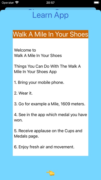 Walk A Mile In Your Shoes screenshot-3
