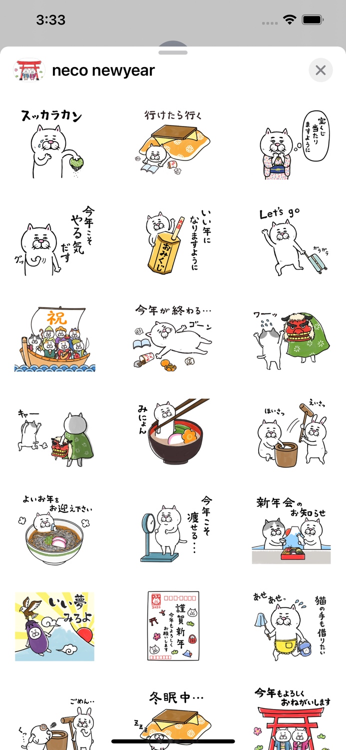 目つきの悪い猫　年末年始