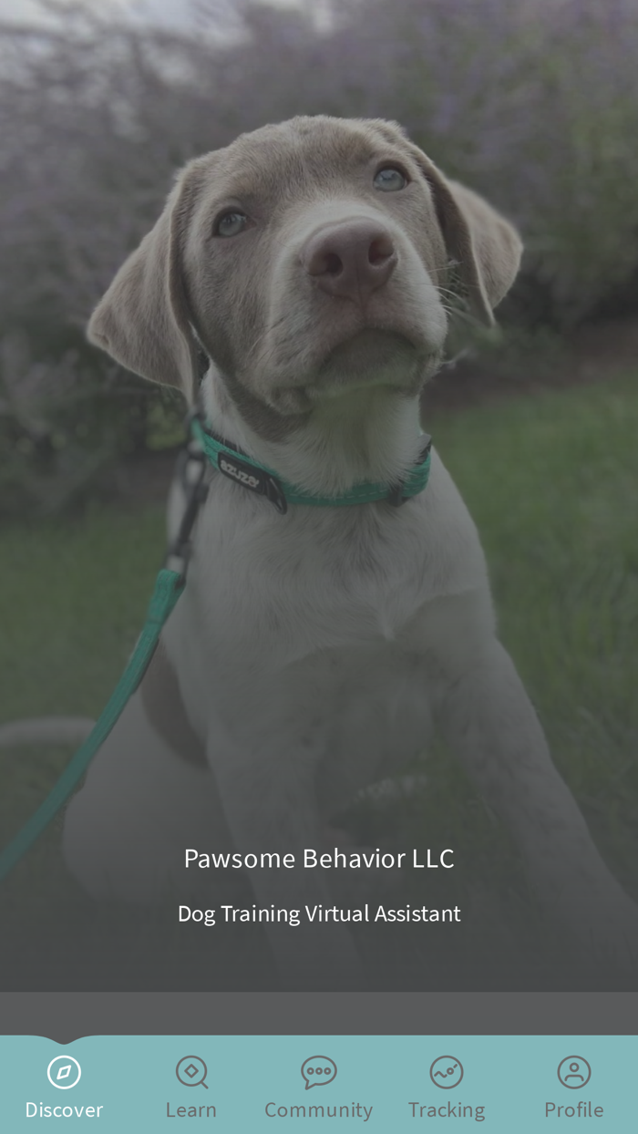 Pawsome Behavior Dog Training