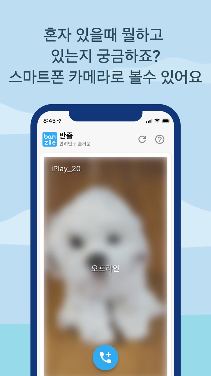반즐 - 반려친구를 위한 동영상 CCTV