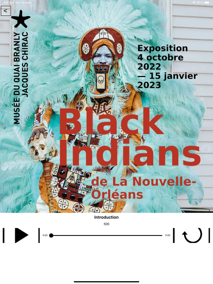 Black Indians Nouvelle-Orléans