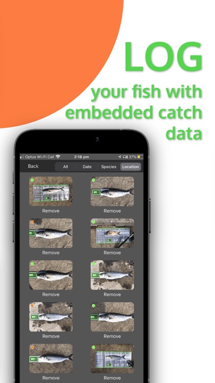 Fishable screenshot-6