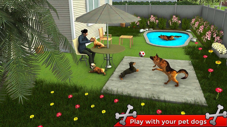 Animal Care Dog Shelter 3D