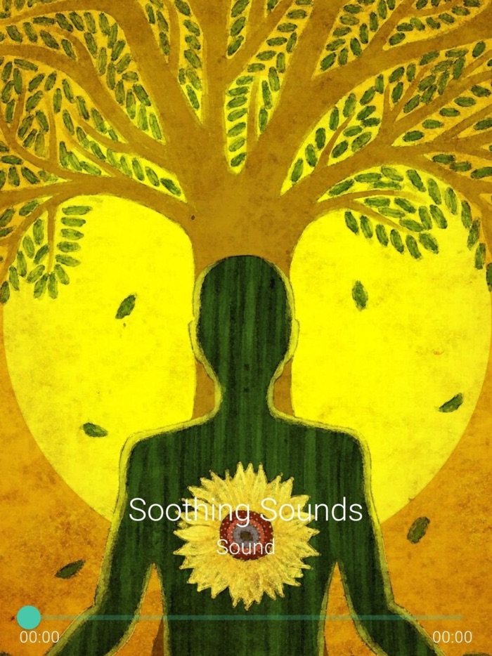 Soothing Sounds Pro Plus