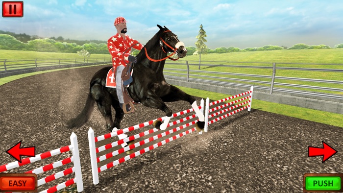 Cowboy Horse Riding and Racing