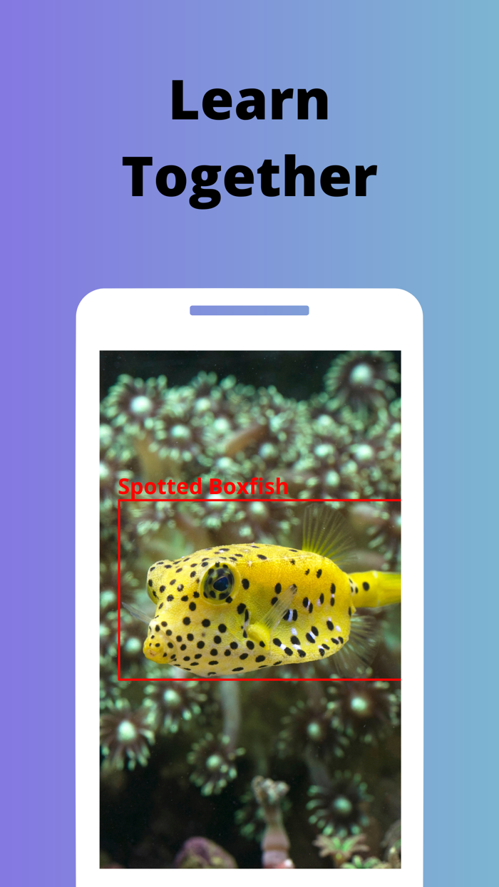 Photo Fish - Fish Identifier