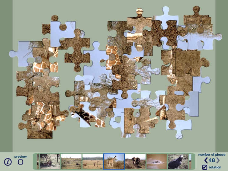 African Wildlife Puzzles screenshot-4