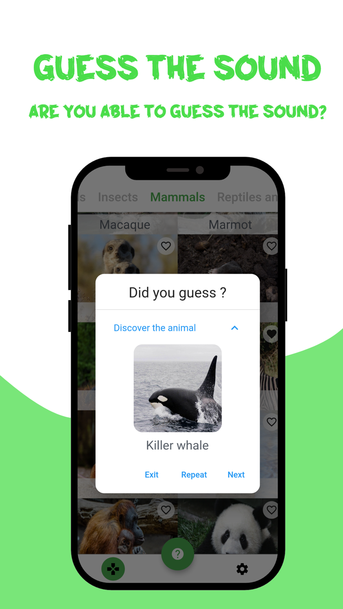 Animal sounds, Guess the verse