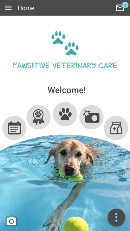 Pawsitive Vet