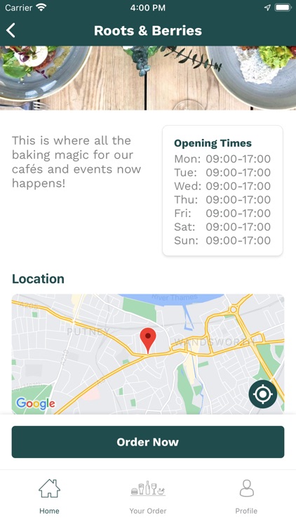 Roots & Berries screenshot-3