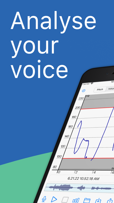 Voice Analyst: Pitch & Volume