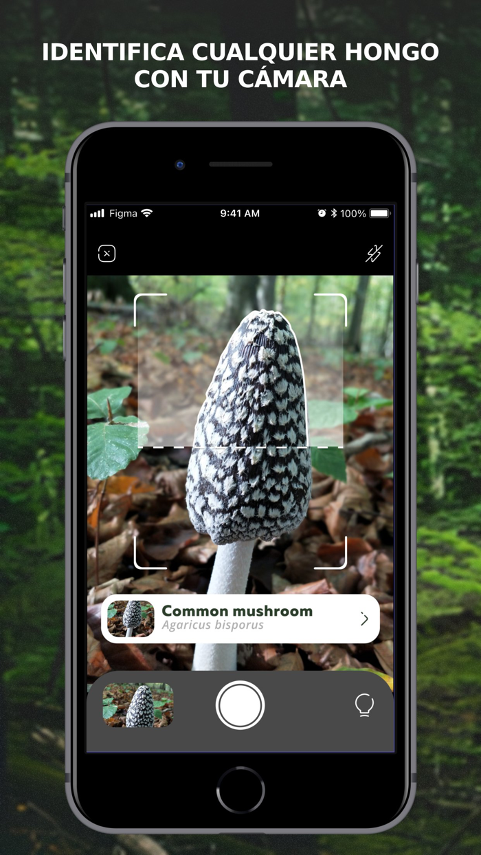 Mushroom Identification ID App