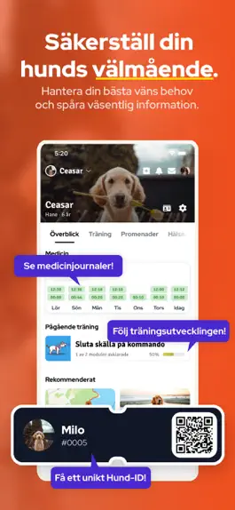 Game screenshot Dogs apk