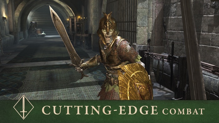 The Elder Scrolls Blades Asia