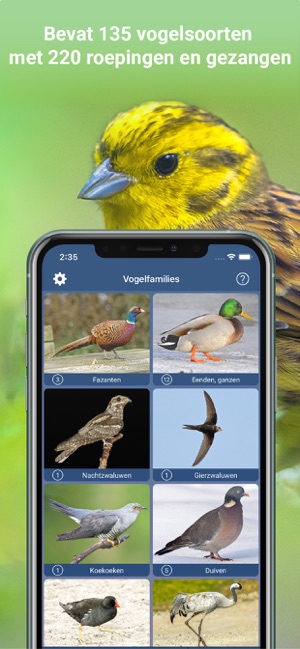 Vogelzang Id Nederland(圖4)-速報App