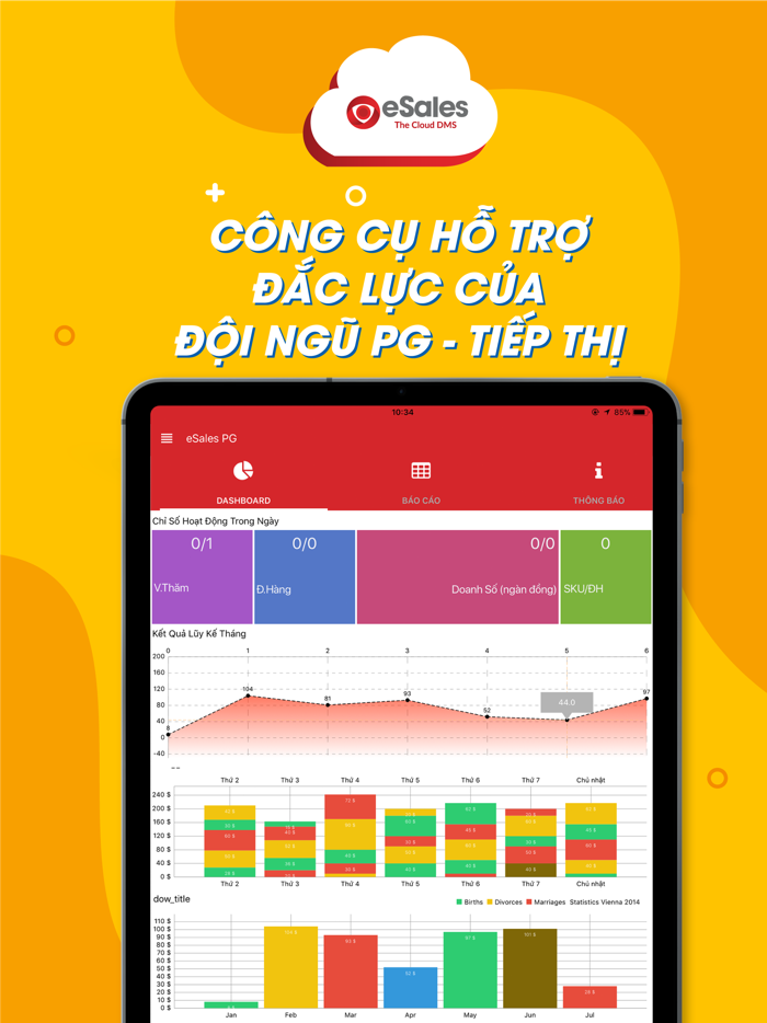 eSales Cloud DMS - PG