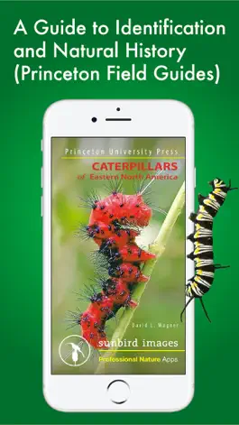 Game screenshot Caterpillar Id USA East Coast mod apk