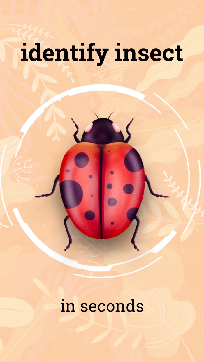 Insect identification ·