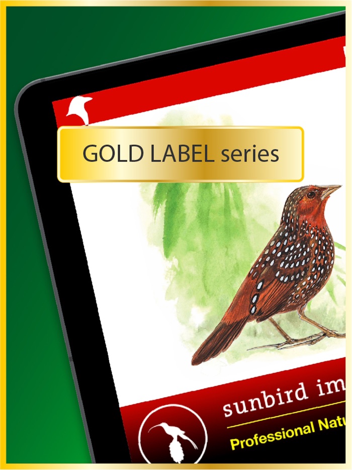 All Birds North. South America