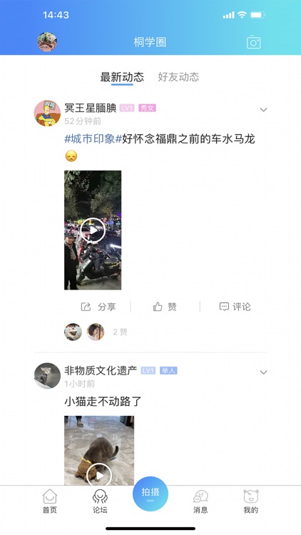 桐山溪畔App