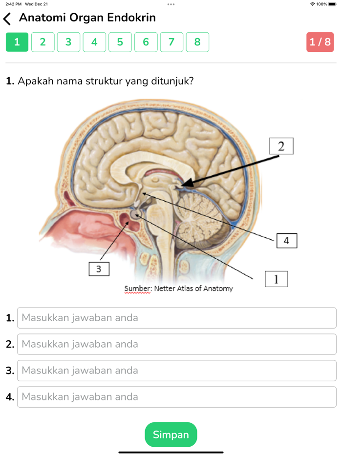 Nursery Anatomy Learning FKUH