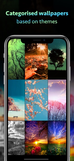 phone wallpapers and themes