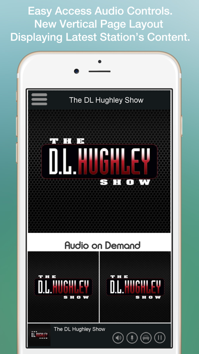 The DL Hughley Show screenshot 2