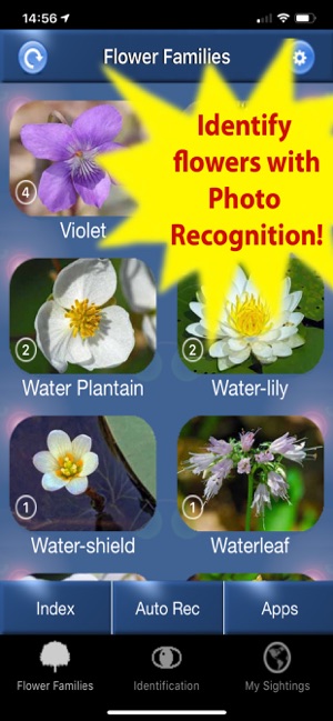Wildflower Id Usa Photo Recog Im App