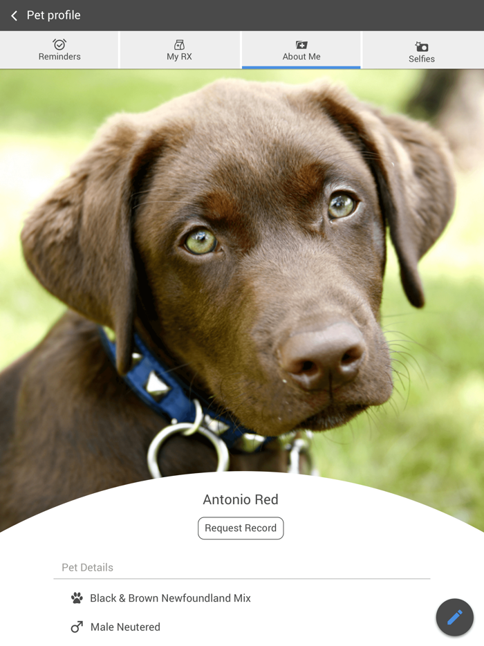 Animal Hospital of Peak Plaza