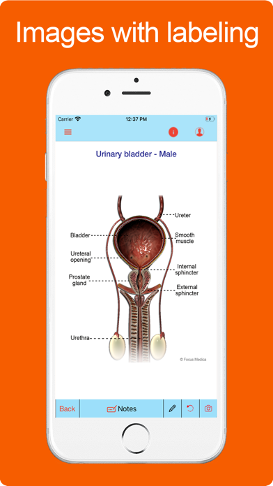 Atlas of Urology screenshot 2
